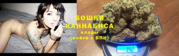 шишки Верхний Тагил