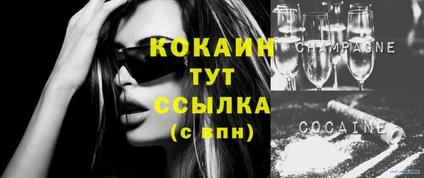 шишки Верхний Тагил