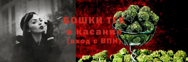 гашик Верея