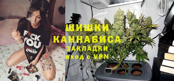 гашик Верея