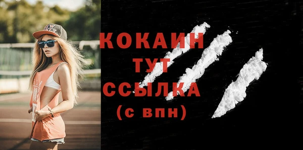 шишки Верхний Тагил