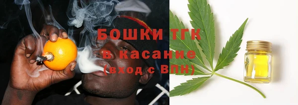 шишки Верхний Тагил