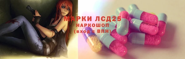 гашик Верея
