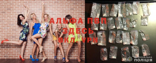 шишки Верхний Тагил