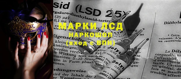 гашик Верея