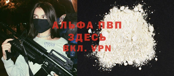 шишки Верхний Тагил