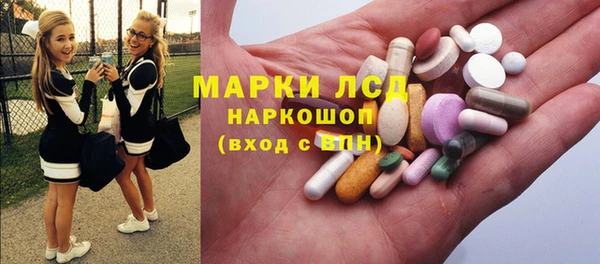 гашик Верея