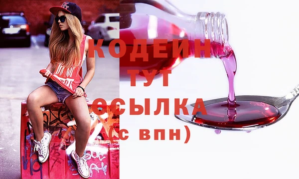 гашик Верея