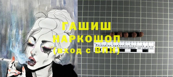 гашик Верея