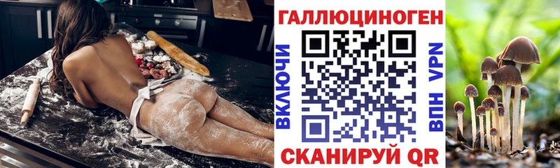 наркота  Тогучин  Галлюциногенные грибы Psilocybine cubensis 