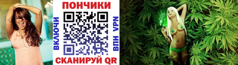 наркошоп Тогучин Бошки марихуана индика